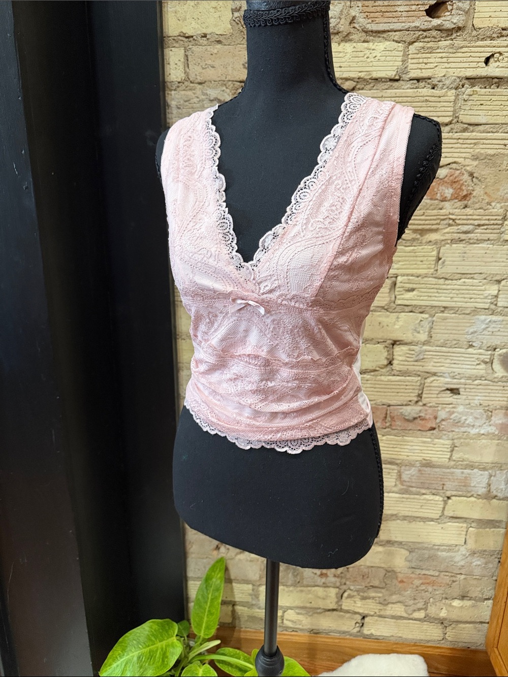 CIDER Pink Lace Plunge Coquette Corset Top M NWOT